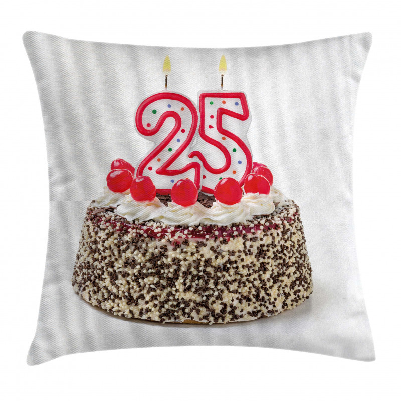 Chocolate Cherry Cake Pillow Cover