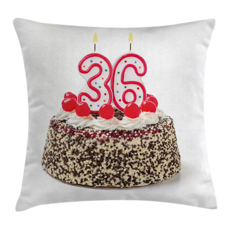 Birthday Sprinkles Pillow Cover