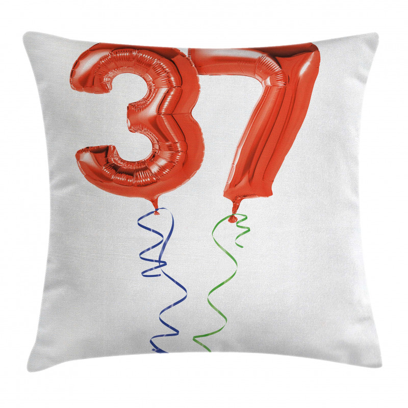 Older It Gets Party Pillow Cover