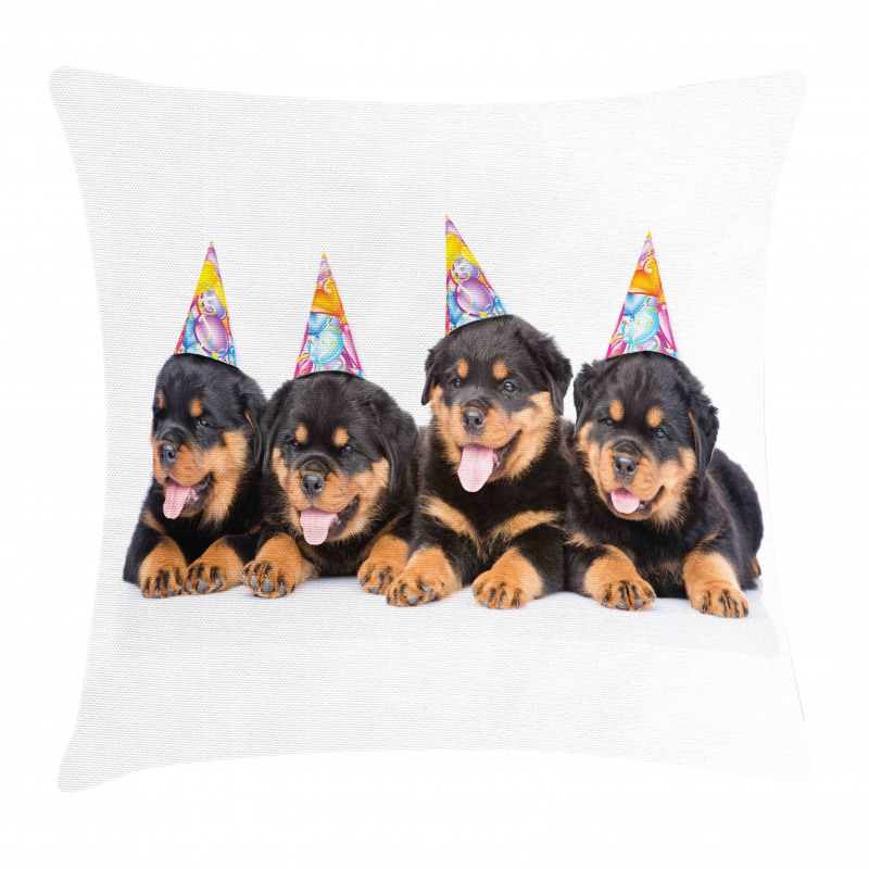 Birthday Dogs Hats Pillow Cover