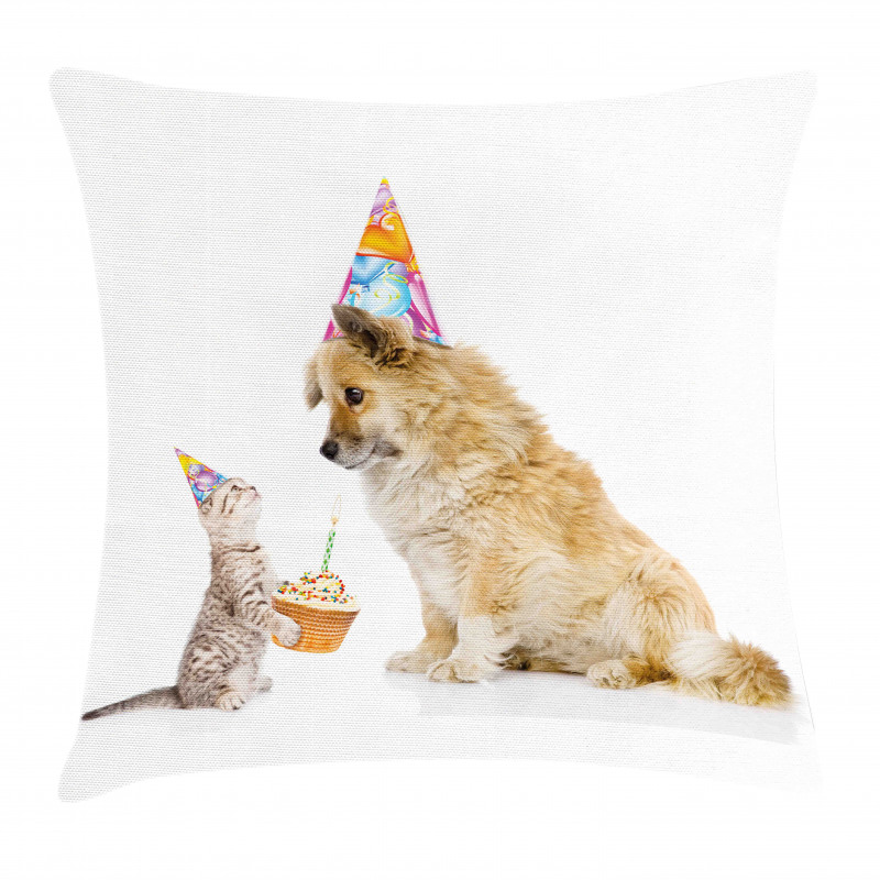 Cat and Dog Birthday Pillow Cover