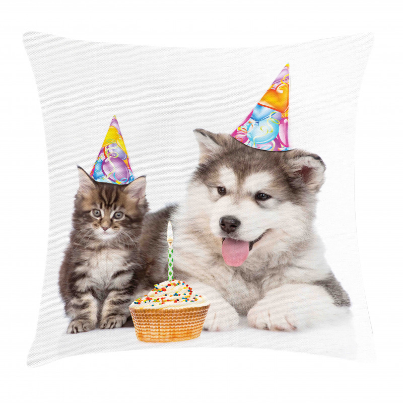 Birthday Party Cones Pillow Cover