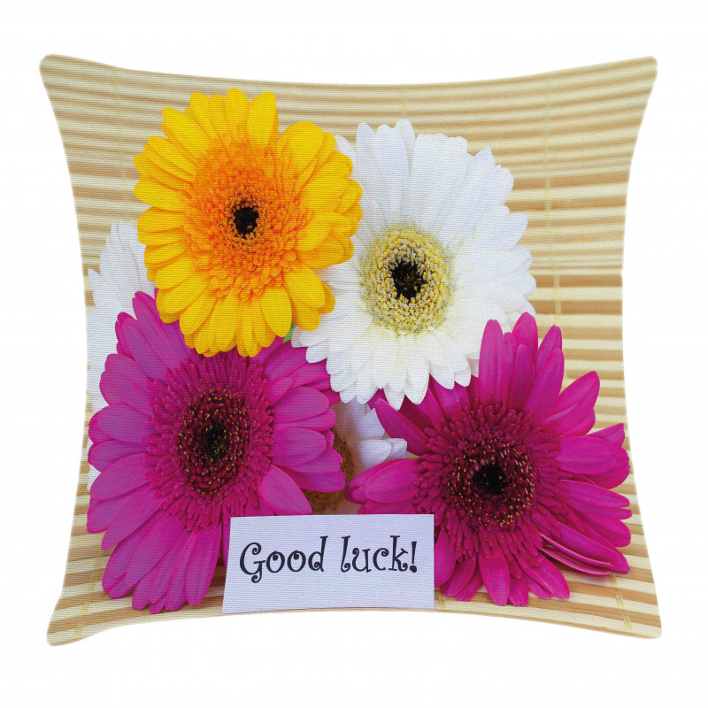 Luck Colorful Pillow Cover