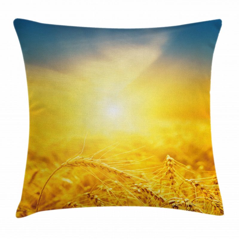 Harvest Wheat Pillow Cover
