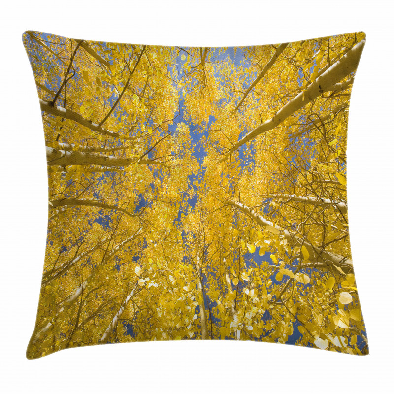 Aspen Trees Pillow Cover