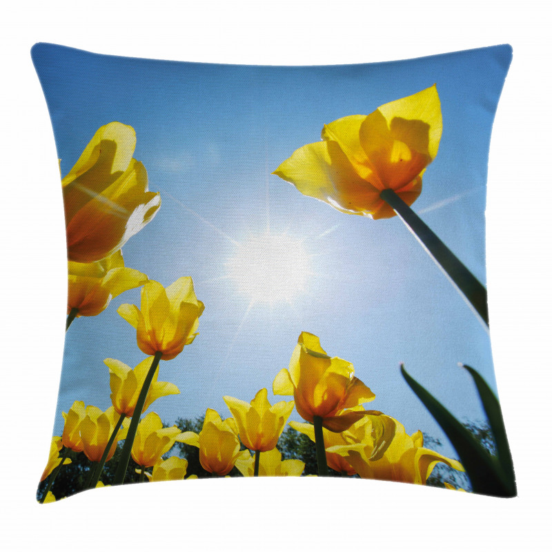 Field Summer Blooms Pillow Cover