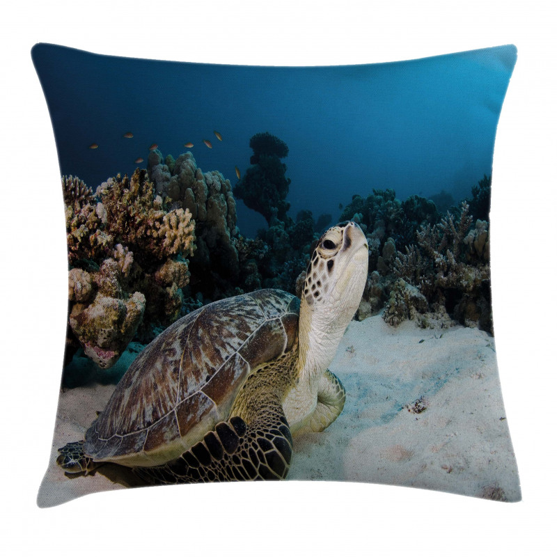 Turtle Coral Reef Pillow Cover