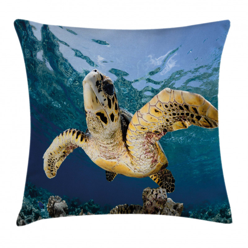 Hawksbill Sea Turtle Pillow Cover
