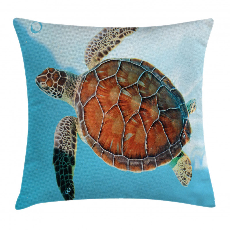 Sea Animal Caribbean Pillow Cover