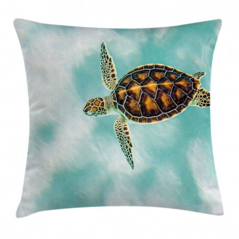 Endangered Baby Turtle Pillow Cover