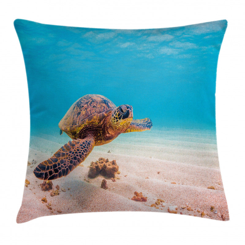Sea Turtle Underwater Pillow Cover