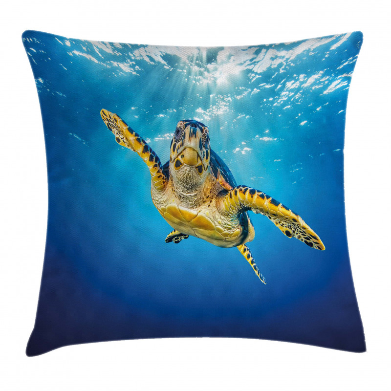Blue Waters Swimming Pillow Cover