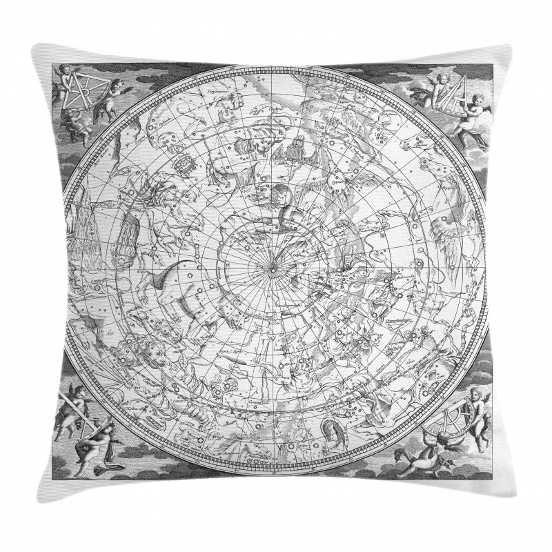 Antique Boreal Pillow Cover