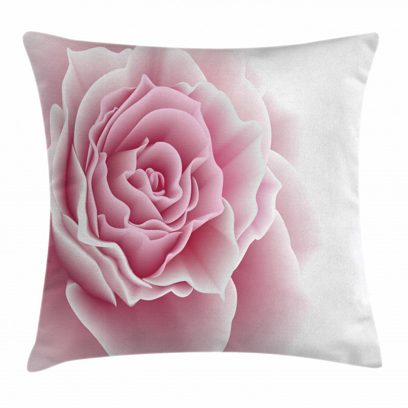Rose Petals Beauty Pillow Cover