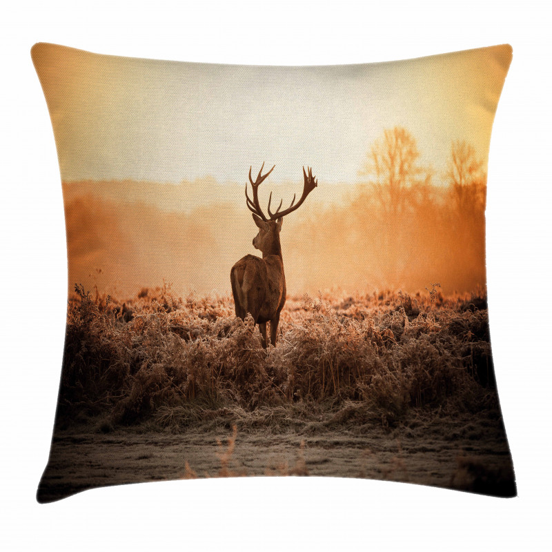 Deer Morning Sun Pillow Cover