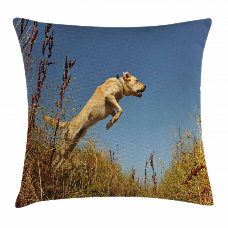 Purebred Labrador Pillow Cover