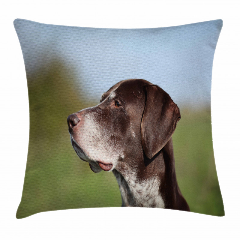 German Pointer Pillow Cover