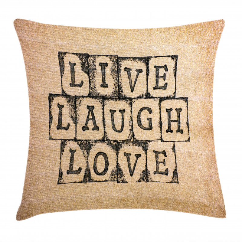 Grungy Vintage Pillow Cover