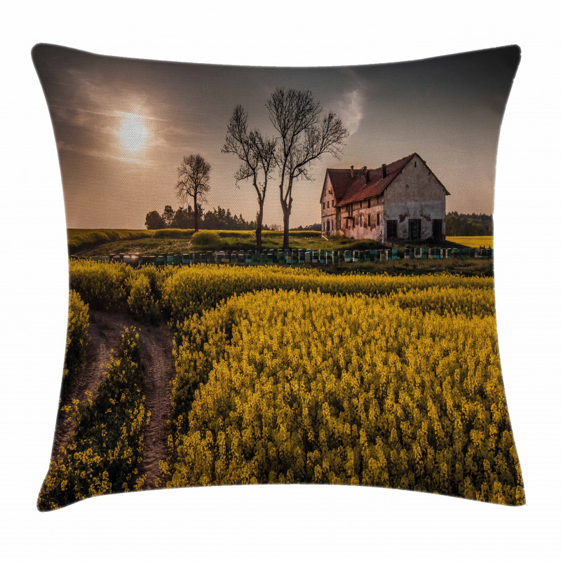 Old Rural House Pillow Cover