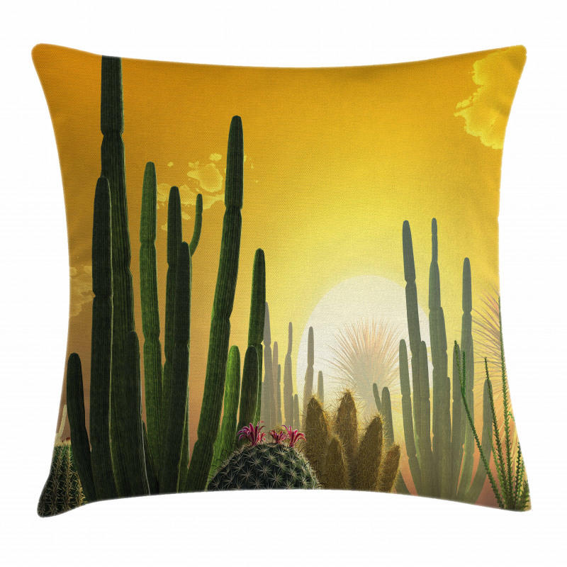 Sunset Desert Ecology Pillow Cover