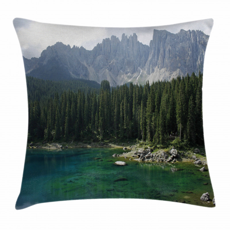 Aerial View Pines Lake Pillow Cover