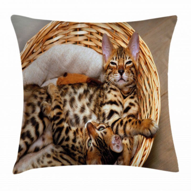 Bengal Cats in Basket Pillow Cover