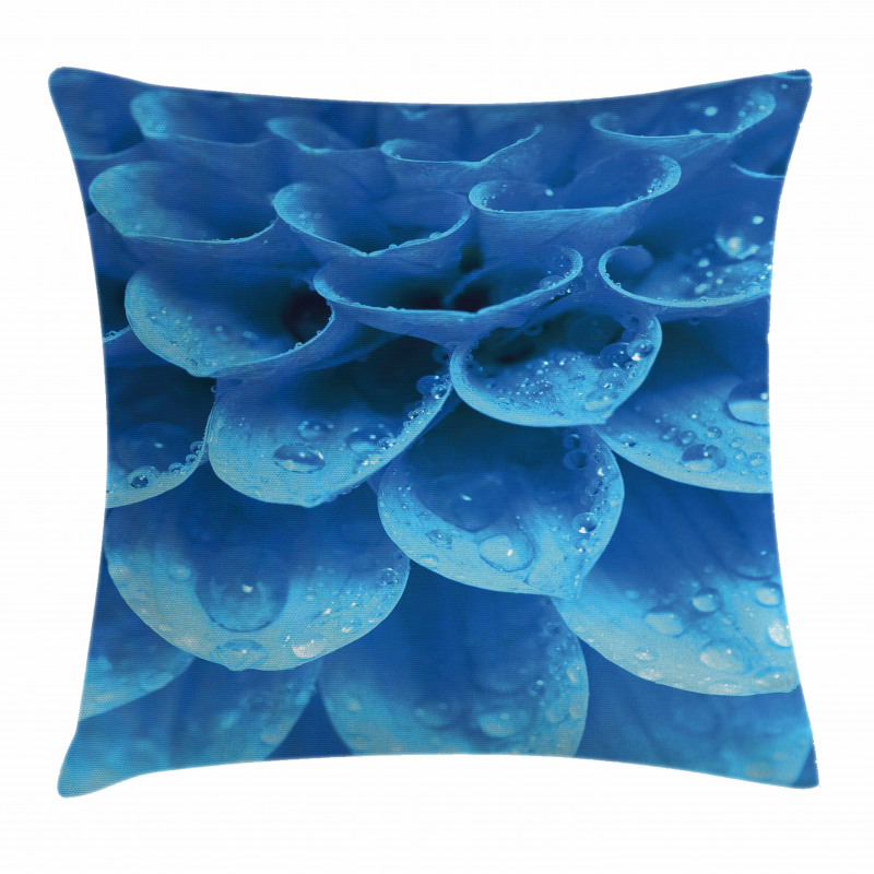 Gerbera Abstract Petals Pillow Cover