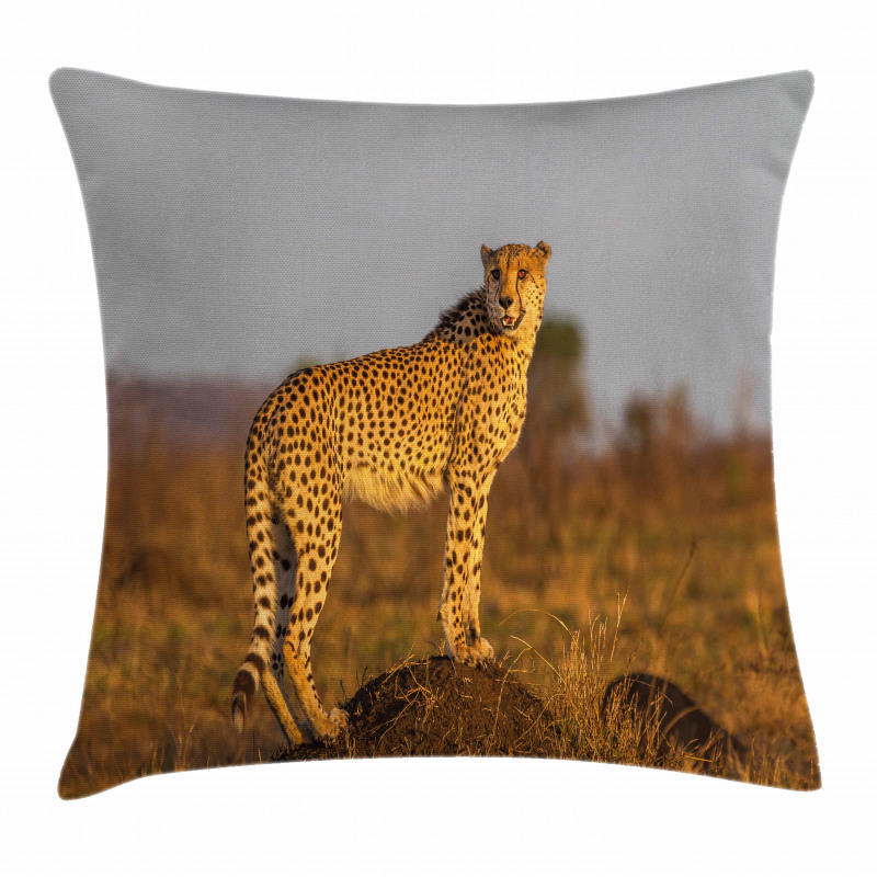 Wild Cheetah Pillow Cover