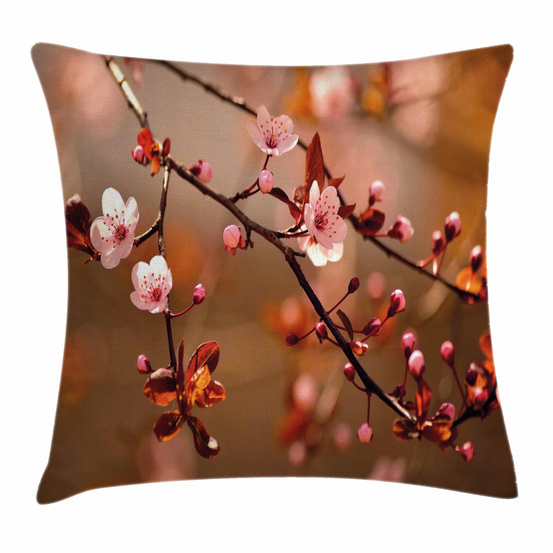 Sakura Flourishing Pillow Cover