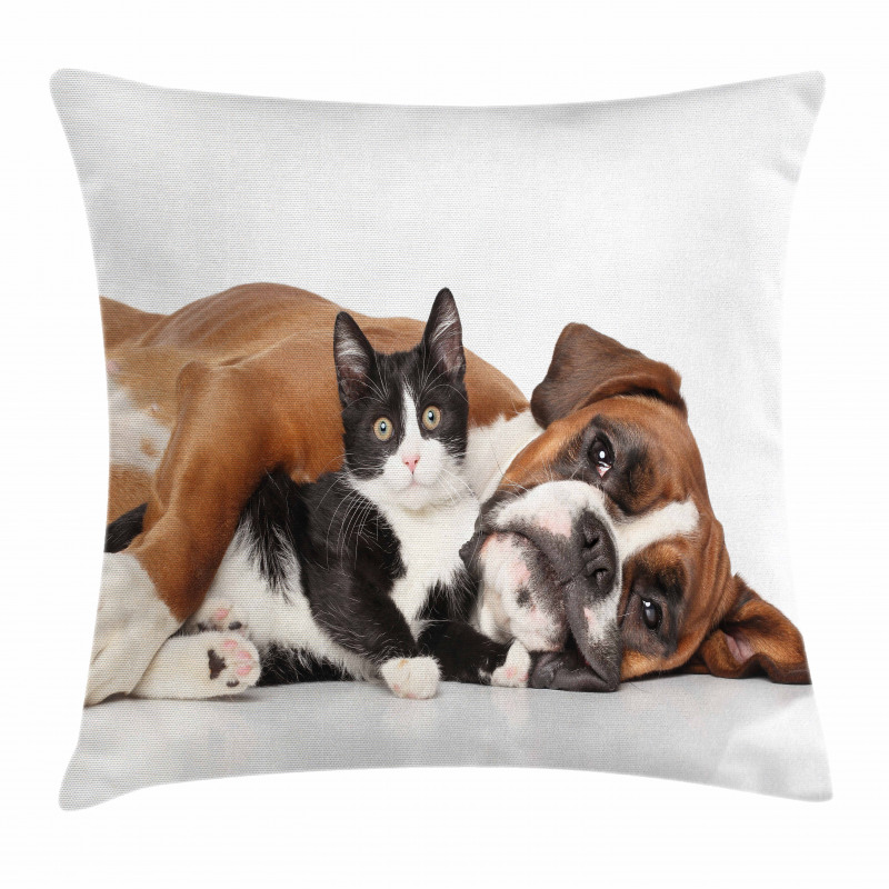 Cat Dog Friendship Pillow Cover