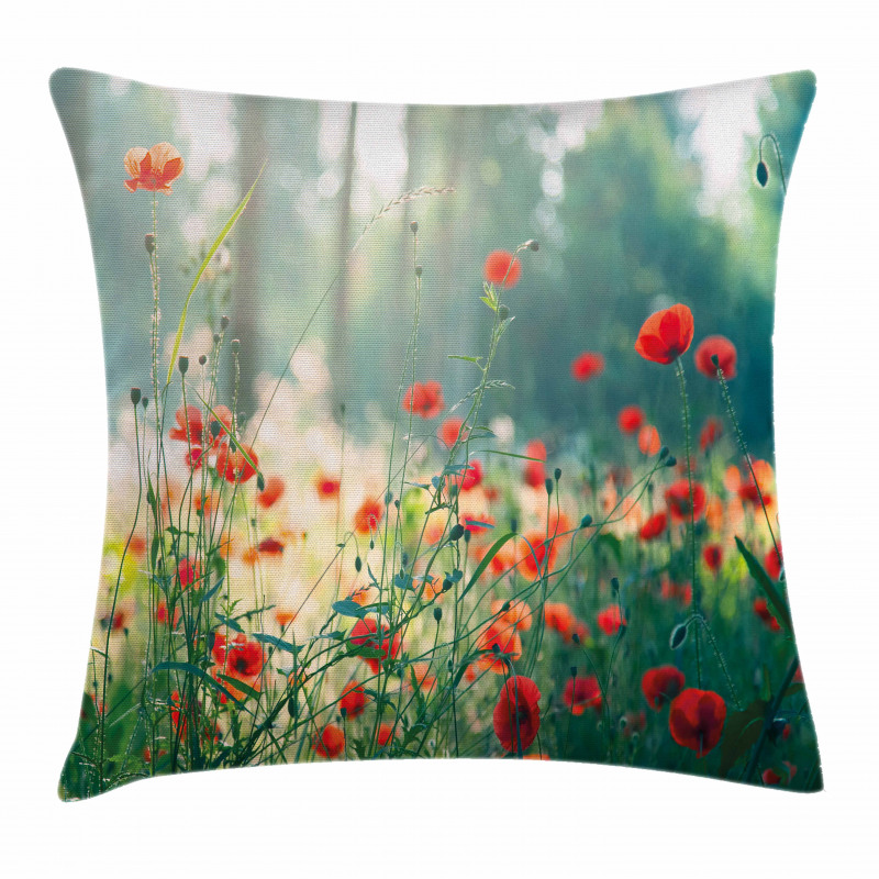 Wild Red Poppy Field Pillow Cover