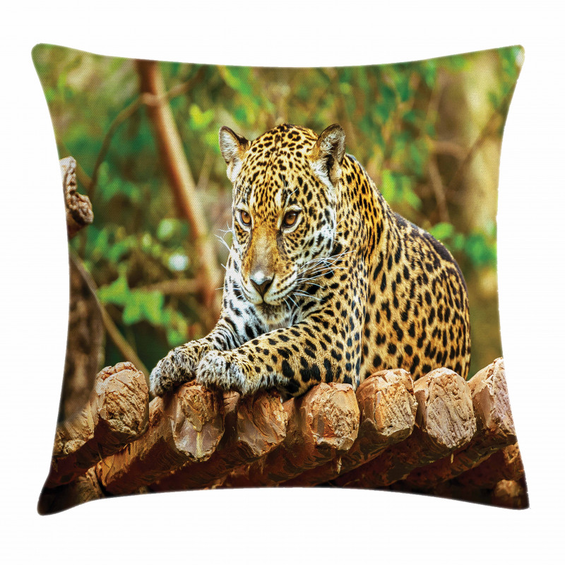 Jaguar on Wood Wild Feline Pillow Cover