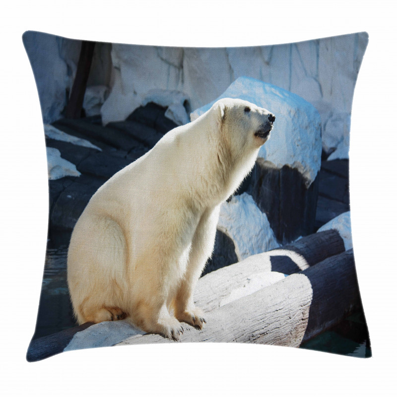Polar Bear in Park Rocks Pillow Cover