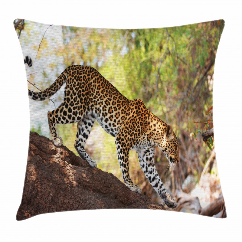Leopard Tree Nature Reserve Pillow Cover