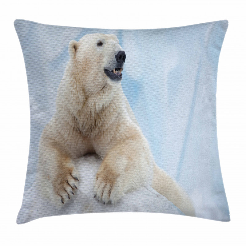 White Polar Bear on Ice Pillow Cover