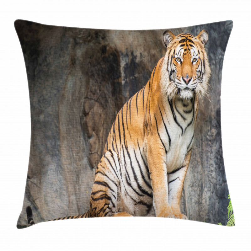 Bengal Tiger Cat Predator Pillow Cover