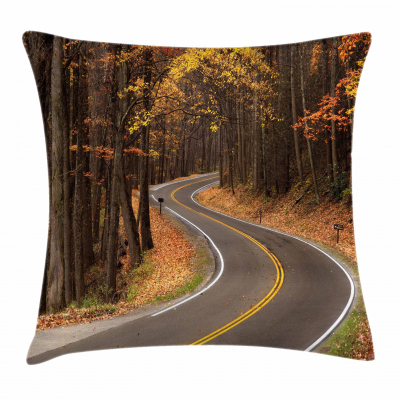 Roadway Mountains Travel Pillow Cover