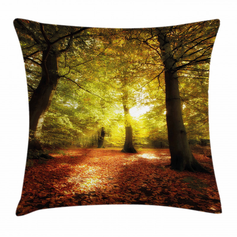 Blurry Forest Dreamy View Pillow Cover