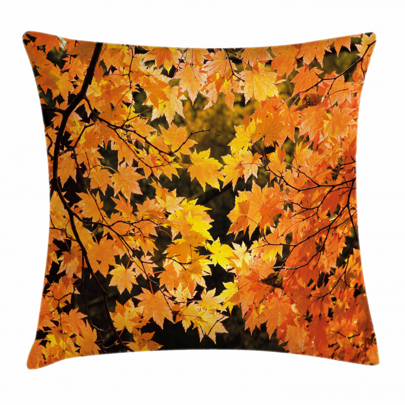 Vivid Autumn Maple Leaves Pillow Cover