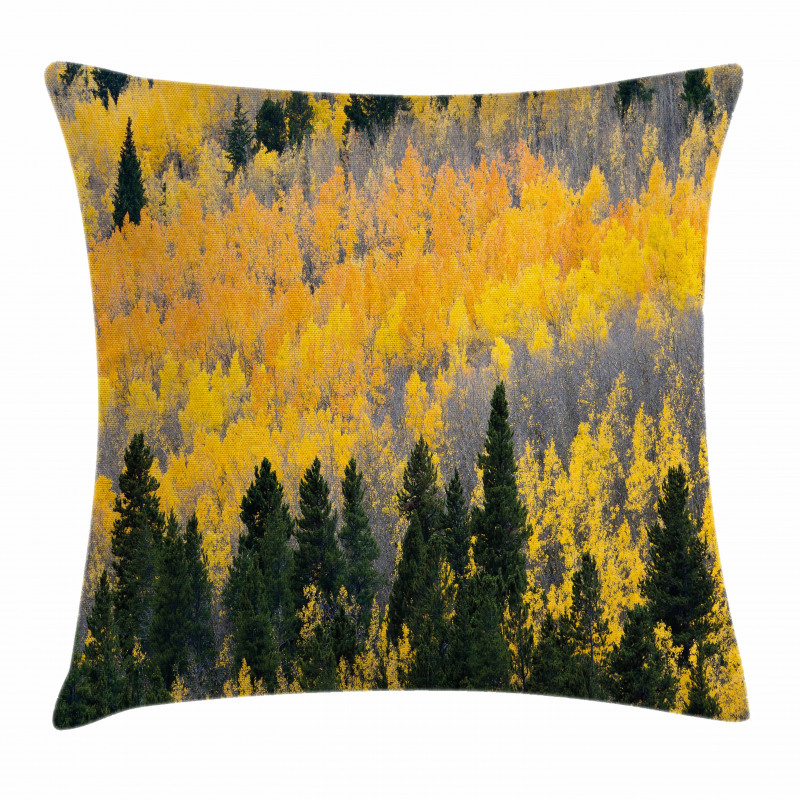 Colorful Aspen Trees USA Pillow Cover
