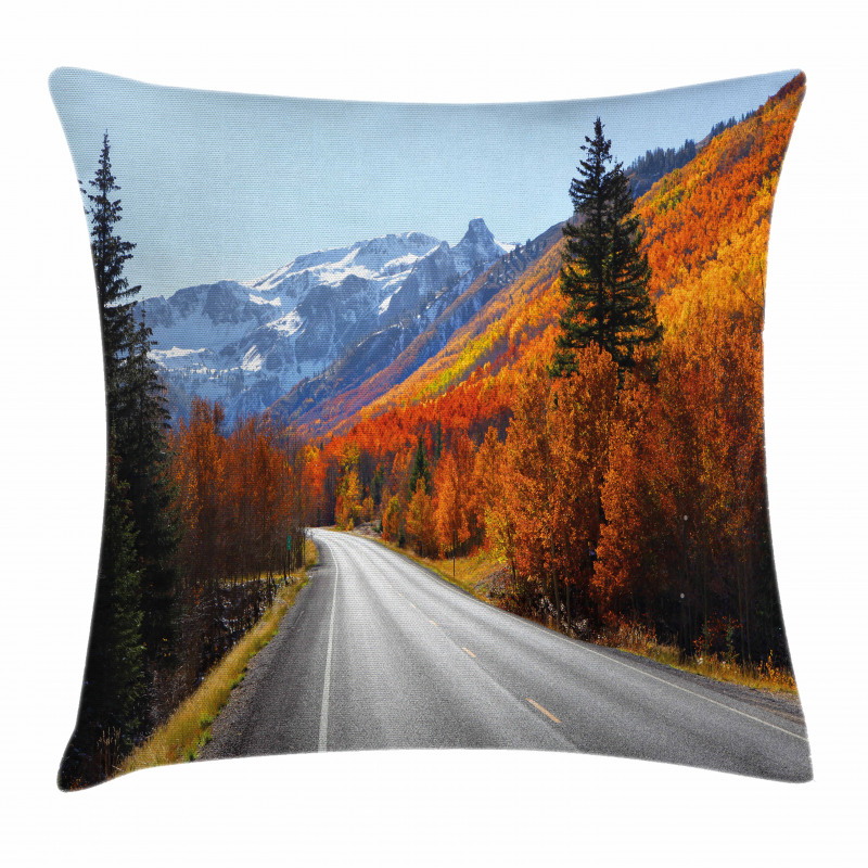 Highway Countryside Travel Pillow Cover