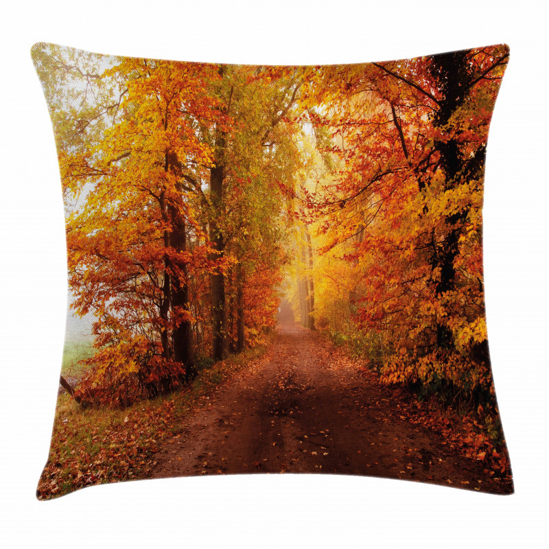 Footpath in Foggy Woods Pillow Cover