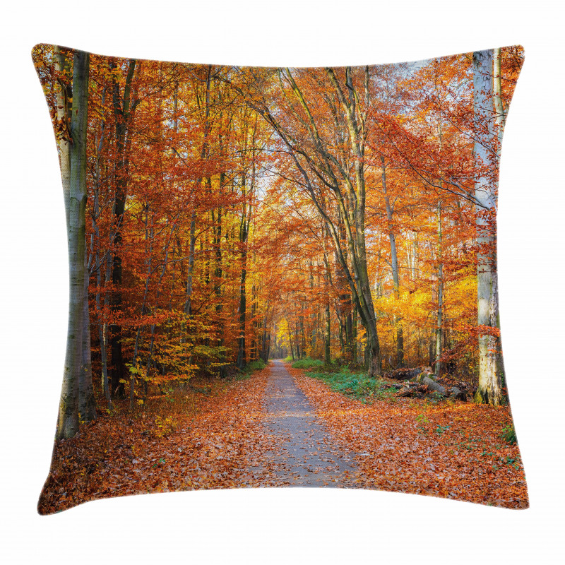 Vibrant Trees Pathway Pillow Cover