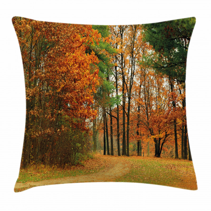 Cloudy Day in September Pillow Cover