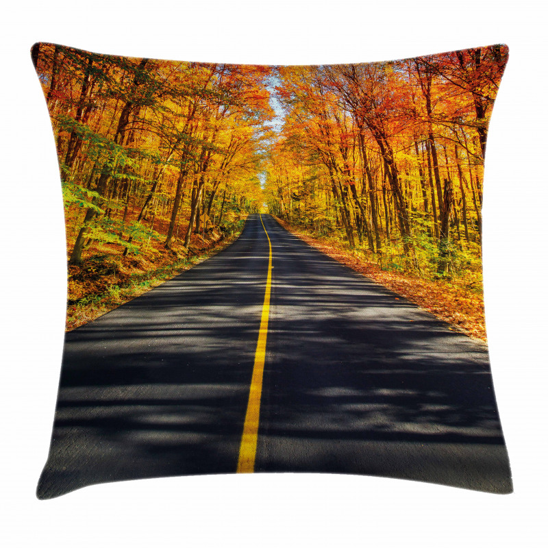 Rural Road Countryside Pillow Cover