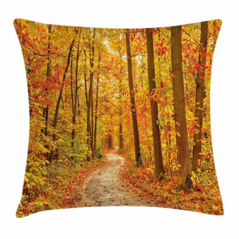 Pathway in the Wilderness Pillow Cover