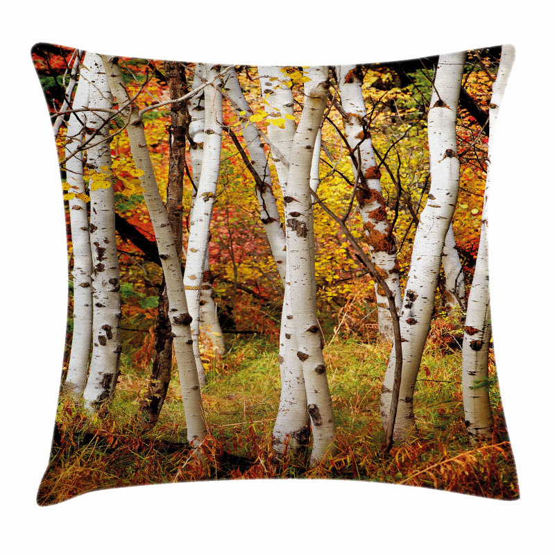 White Birch Trees Serenity Pillow Cover