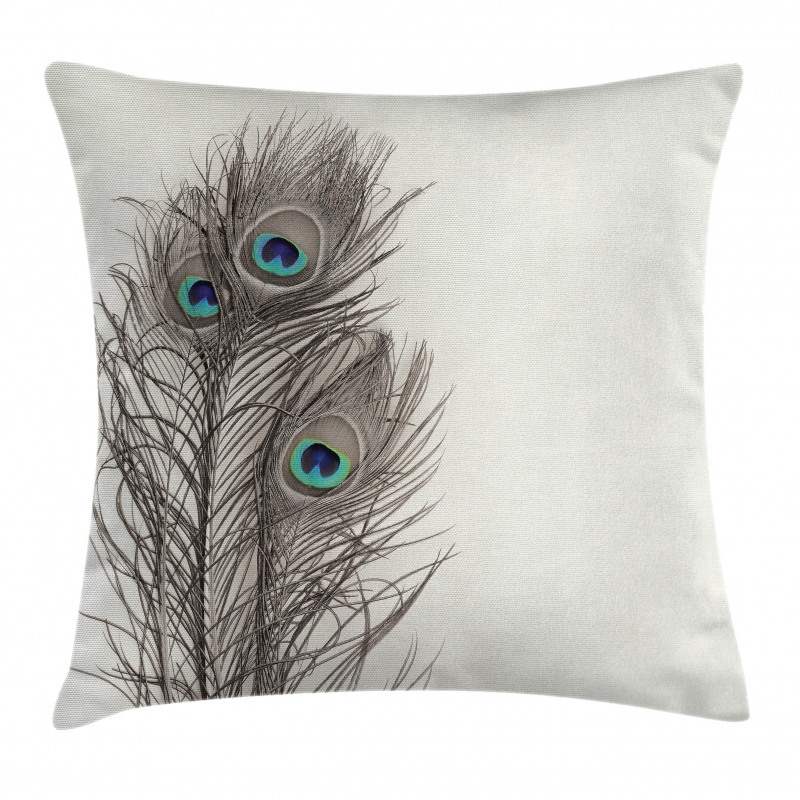 Feathers of Exotic Bird Pillow Cover