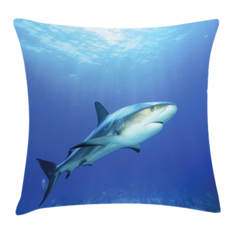 Exotic Dreamy Ocean Life Pillow Cover