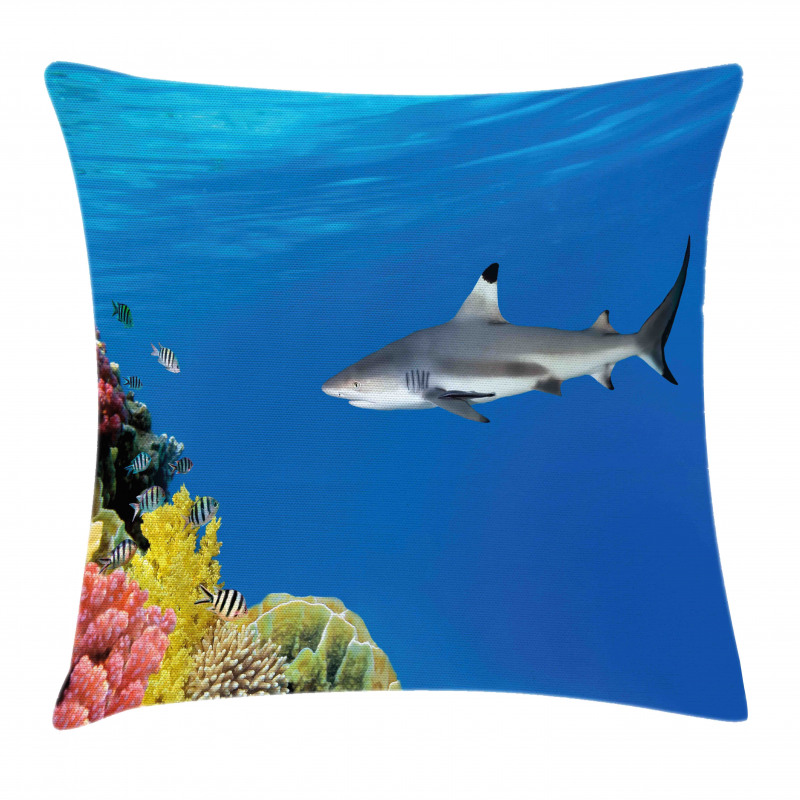 Tropic Underwater World Pillow Cover
